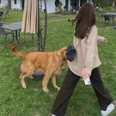 情感的禁区
