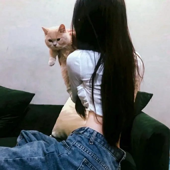 曲线姻缘
